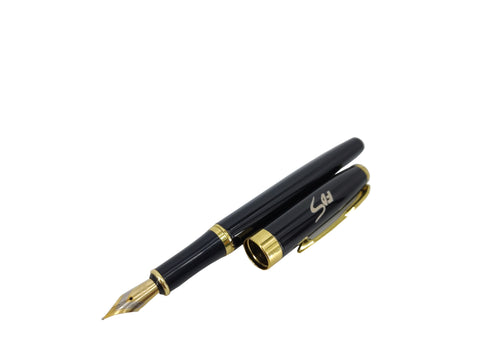 FDS Fountain Pen w/ Gift Box Classic Writing Instrument Medium Nib