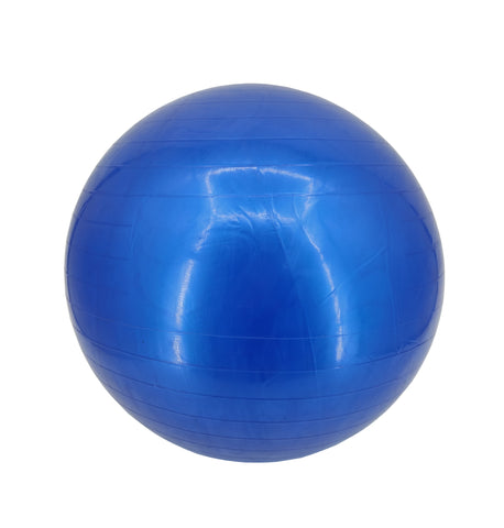 55Cm Exercise Ball Yoga Ball Fitness Stability Ball Balance Ball Gym Theraball
