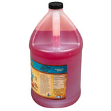 Snow Cone Syrup Shaved Ice - Eight Flavors, 1 Gallon Jug 15680-PicNic Punch