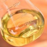 Glass Oil Bottle Dispenser Syrup Pourer Sauce Venegar 9 oz Green 19684-green