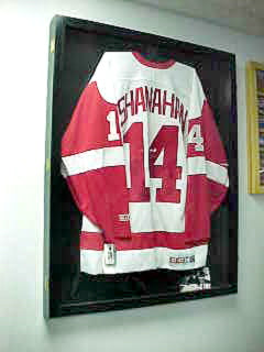 QVC Glossy black Jersey Display Case 100012