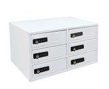 6-Slot Cellphone Locker iPad Mini Charging Station 2-Prong Femail Plug Combination Lock Master Key Code Finder Max 5 Watts Per Slot Output 10041