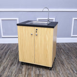 Portable Sink Hand Wash Station Mobile Sink Water Fountain Water Supply Pump110V 10122