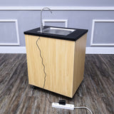 Portable Sink Hand Wash Station Mobile Sink Water Fountain Water Supply Pump110V 10122