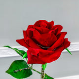 16 Lighted Red Rose Flower Artificial Love Solar Valentine Cemetery Memoriral 10140