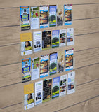 Acrylic Literature Rack Wall-mount Magazine Holder 12/24 Pockets in 2 Panels 10166