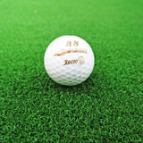 20'X10' (nominal) 236 W x 118 D Large Professional Golfing Training Mat Green 10222