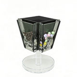 4 Side Pill Dispenser Clear Acrylic Rotating Medication Organizer 6x6x8 10259
