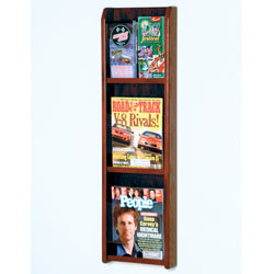 Divulge 3 Magazine/6 Brochure Wall Display w/Brochure Inserts 104311