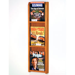 Divulge 3 Magazine Wall Display 104387