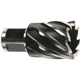 Milwaukee? 49 59 1000 Annular Cutter, 1 Depth of Cut, 1 Dia. 1119454