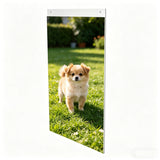 Wall Mount Sign Holder Clear Acrylic Picture Frame Transparent Poster Frame 12061 11X17