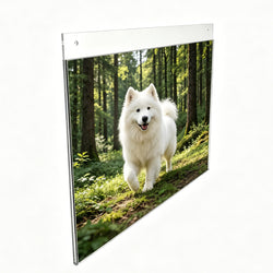 Wall Mount Sign Holder Clear Acrylic Picture Frame Transparent Poster Frame 12061 11X8.5 24PK