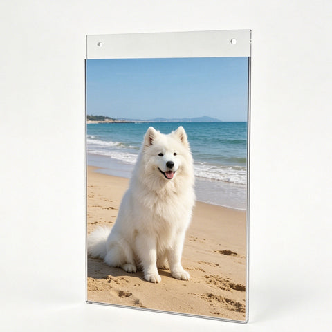 Wall Mount Sign Holder Clear Acrylic Picture Frame Transparent Poster Frame 12061 8.5X11