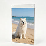 Wall Mount Sign Holder Clear Acrylic Picture Frame Transparent Poster Frame 12061 8.5X11 24PK