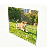11 x 8.5h Wall Mount Clear Window Signs Plexiglass Acrylic Landscape Frame 12067