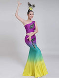 Dance Costumes Dress Dance Costumes Dai Peacock Dance Performance Fishtail Skirt