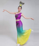 Dance Costumes Dress Dance Costumes Dai Peacock Dance Performance Fishtail Skirt