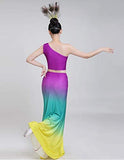 Dance Costumes Dress Dance Costumes Dai Peacock Dance Performance Fishtail Skirt