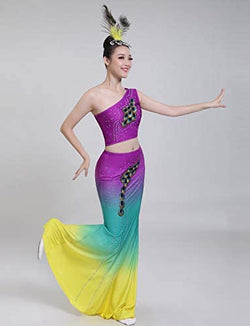 Dance Costumes Dress Dance Costumes Dai Peacock Dance Performance Fishtail Skirt