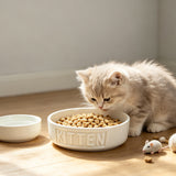 Kitten Cat Pet Bowls Heavyweight Ceramic Dish Stays Put Chew Proof Food Water 15118