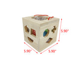 Educational Wooden Shape Sorter Cube Pre Kindergarten Toy Toddler