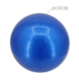 55Cm Exercise Ball Yoga Ball Fitness Stability Ball Balance Ball Gym Theraball