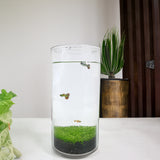 Eco-Container Sealable Acrylic Cylinder Aquarrium Terrarium 15703