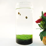 Eco Container Sealable Acrylic Cylinder Aquarrium Terrarium 15703