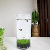 Eco Container Sealable Acrylic Cylinder Aquarrium Terrarium 15703