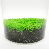 Eco Container Sealable Acrylic Cylinder Aquarrium Terrarium 15703