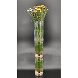 5X10.9 Clear Acrylic Tube Mini Stackable Aquarium Planter Collection Candy Bin