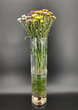 5X10.9 Clear Acrylic Tube Mini Stackable Aquarium Planter Collection Candy Bin