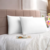 2 Pack Soft Queen Size Pillows Vaccum Sealed Hotel Quality Fluffy 29"x19" 15874