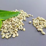 Ethiopian Yirgacheffe Raw Green Unroasted Coffee Beans 8 Ounces Sample Size 15883-64oz