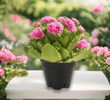 20PK Nursery Pots Seedling Plastic Plant Cups Small Planter Cutting Starter 15932-20PK