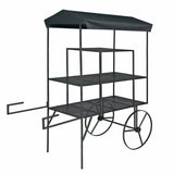 Large Metal Flower Cart Pot Planter Cart Produce Cart Fruit Display Kiosk Stand