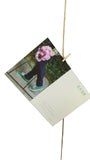 White Photo Display DIY Picture Frame Collage Set Twine Cords Wood Rail Clothpin