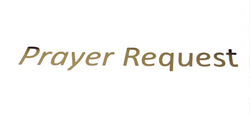 Prayer Request Sticker 4 Prayer Request Box Collection Box Gold Color
