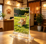 8.5 x 11" Sign Holder Menu Holder Picture Frame Photo Frame Literature 19026