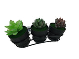 FixtureDisplays Window Mount Succulent Planter Holder 11x4x1.6  21660