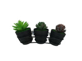 FixtureDisplays Window Mount Succulent Planter Holder 11x4x1.6  21660