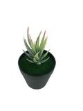 7 H Black Planter w/ Succulent Aloe Vera Forever Artificial Green Turf Moss