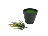7 H Black Planter w/ Succulent Aloe Vera Forever Artificial Green Turf Moss
