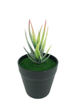 7 H Black Planter w/ Succulent Aloe Vera Forever Artificial Green Turf Moss