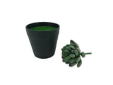 5.1 H Black Planter w/ Succulent Green Gem Forever Artificial Green Turf Moss