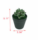 5.1 H Black Planter w/ Succulent Green Gem Forever Artificial Green Turf Moss