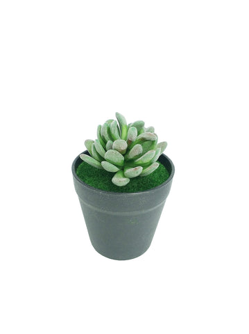 5.1 H Black Planter w/ Succulent Green Gem Forever Artificial Green Turf Moss