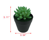 5 H Black Planter w/ Succulent Budha Finger Forever Artificial Green Turf Moss