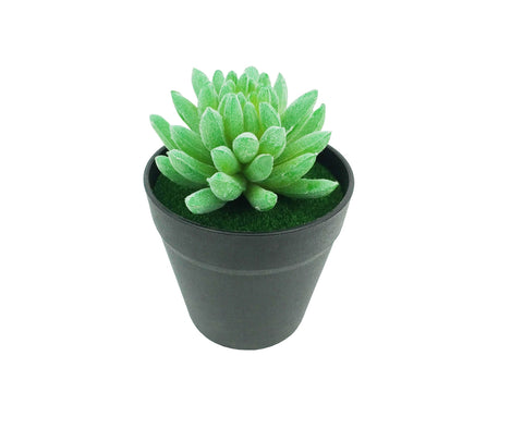 5 H Black Planter w/ Succulent Budha Finger Forever Artificial Green Turf Moss